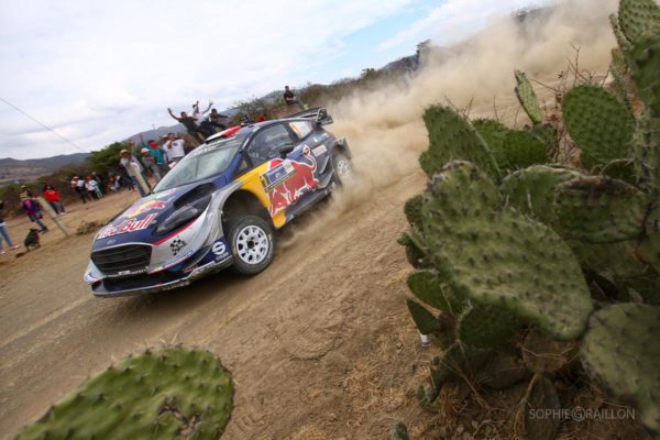 ogier-mexico